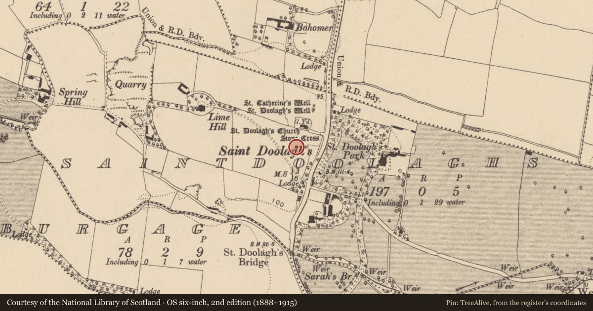 Ordnance Survey six-inch map, 2nd edition (1888–1915) covering the location of Field system, Saintdoolaghs, County Dublin, with a pin at the register's coordinates