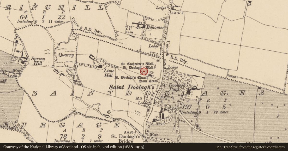 Ordnance Survey six-inch map, 2nd edition (1888–1915) covering the location of Enclosure, Saintdoolaghs, County Dublin, with a pin at the register's coordinates