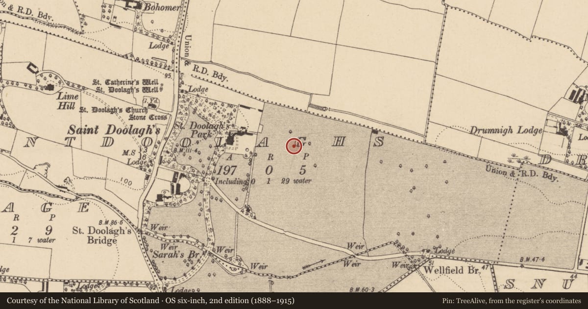 Ordnance Survey six-inch map, 2nd edition (1888–1915) covering the location of Ring-ditch, Saintdoolaghs, County Dublin, with a pin at the register's coordinates