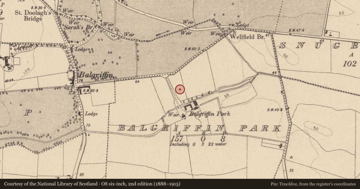 Ordnance Survey six-inch map, 2nd edition (1888–1915) covering the location of Graveslab, Balgriffin Park, County Dublin, with a pin at the register's coordinates