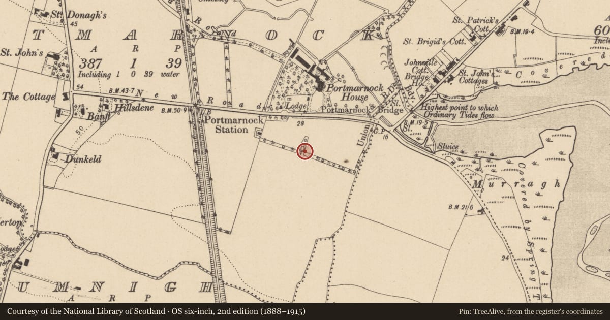 Ordnance Survey six-inch map, 2nd edition (1888–1915) covering the location of Mound, Portmarnock, County Dublin, with a pin at the register's coordinates