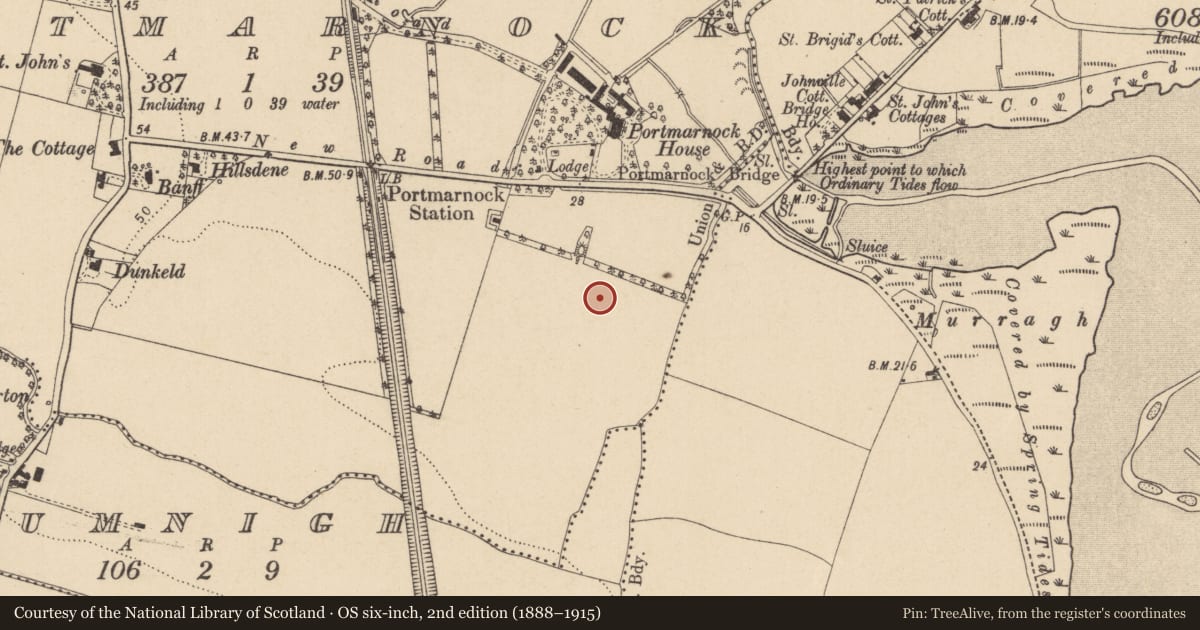Ordnance Survey six-inch map, 2nd edition (1888–1915) covering the location of Metalworking site, Portmarnock, County Dublin, with a pin at the register's coordinates