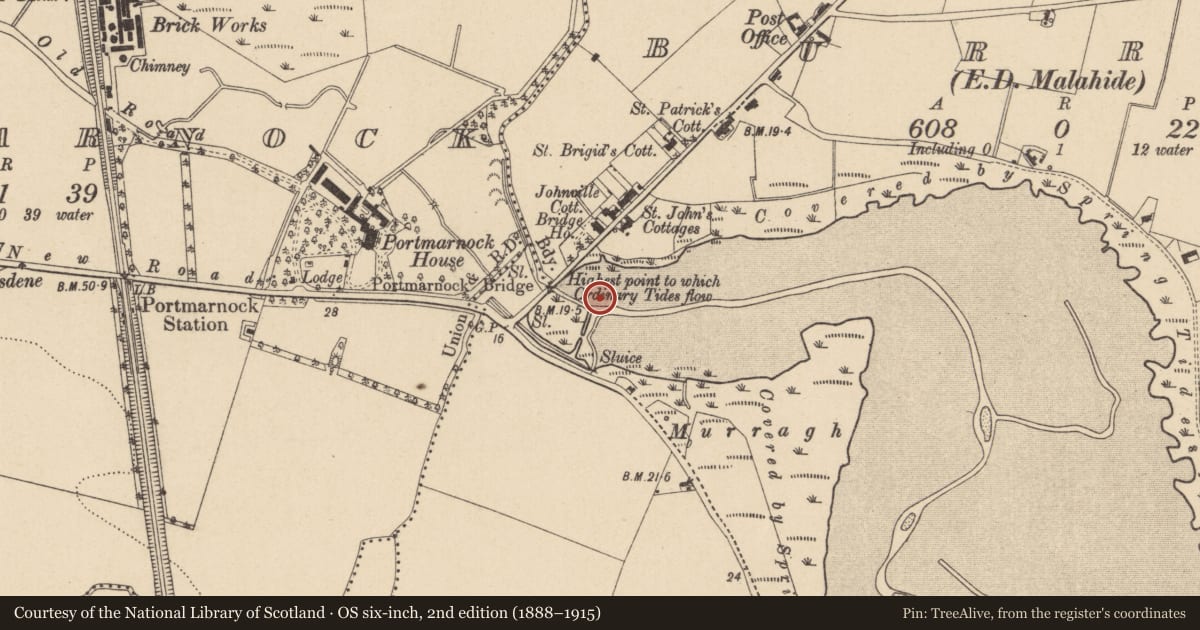 Ordnance Survey six-inch map, 2nd edition (1888–1915) covering the location of Tide mill - unclassified, Maynetown, Portmarnock, County Dublin, with a pin at the register's coordinates
