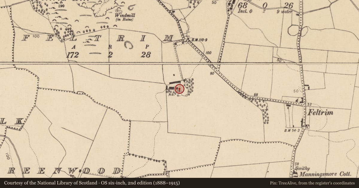 Ordnance Survey six-inch map, 2nd edition (1888–1915) covering the location of Castle - unclassified, Feltrim, County Dublin, with a pin at the register's coordinates