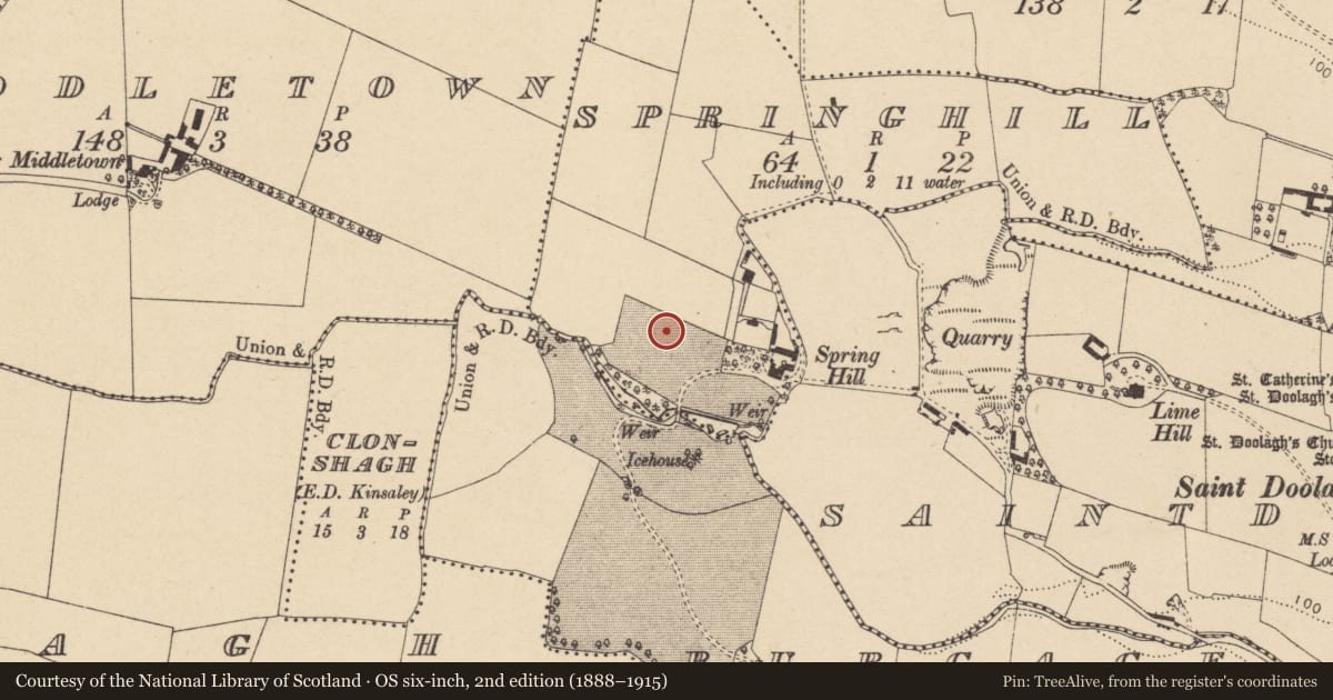 Ordnance Survey six-inch map, 2nd edition (1888–1915) covering the location of Ringfort - unclassified, Springhill, County Dublin, with a pin at the register's coordinates
