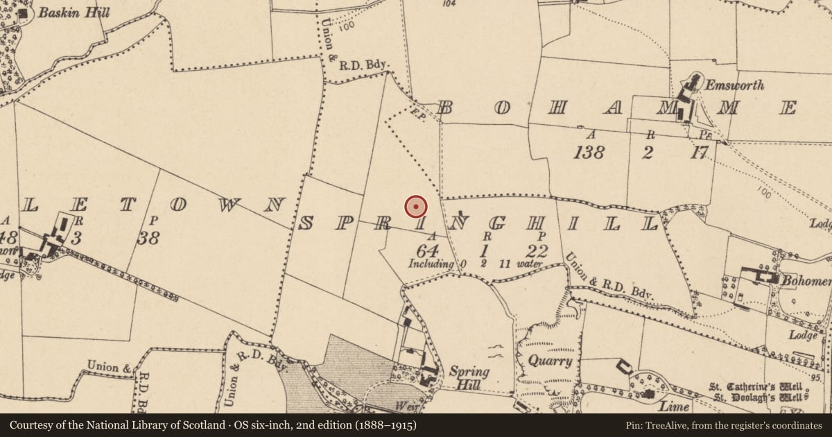Ordnance Survey six-inch map, 2nd edition (1888–1915) covering the location of Enclosure, Springhill, County Dublin, with a pin at the register's coordinates