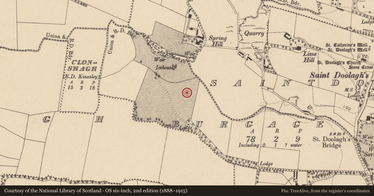 Ordnance Survey six-inch map, 2nd edition (1888–1915) covering the location of Enclosure, Burgage, County Dublin, with a pin at the register's coordinates