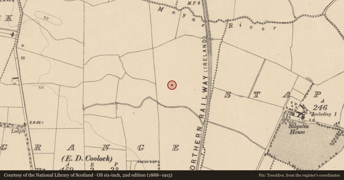 Ordnance Survey six-inch map, 2nd edition (1888–1915) covering the location of Enclosure, County Dublin, with a pin at the register's coordinates