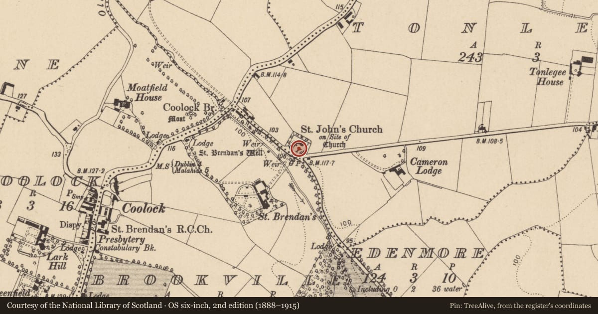 Ordnance Survey six-inch map, 2nd edition (1888–1915) covering the location of Graveyard, County Dublin, with a pin at the register's coordinates