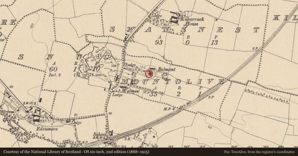 Ordnance Survey six-inch map, 2nd edition (1888–1915) covering the location of Windmill, County Dublin, with a pin at the register's coordinates