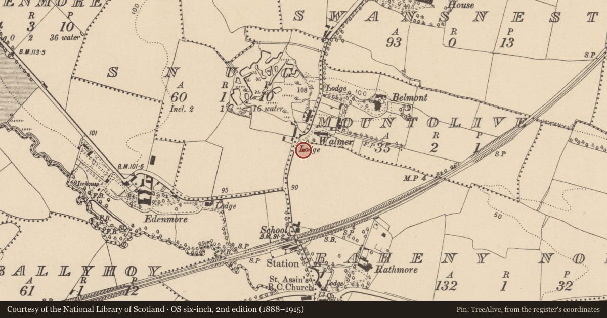 Ordnance Survey six-inch map, 2nd edition (1888–1915) covering the location of Windmill, County Dublin, with a pin at the register's coordinates