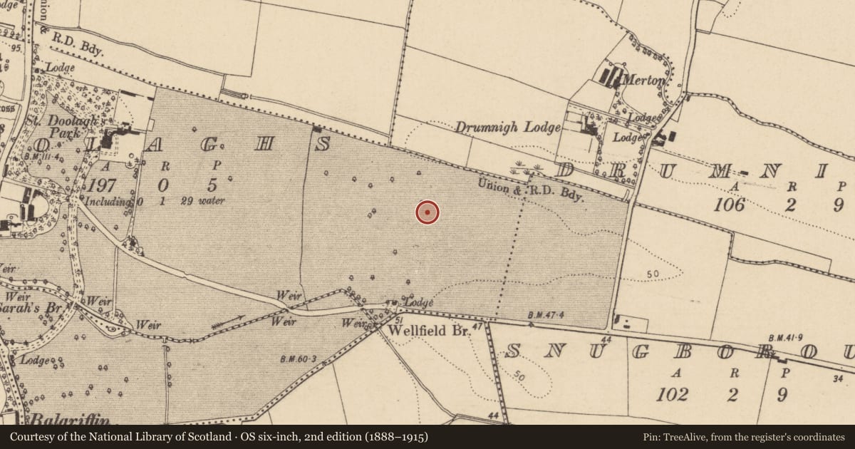 Ordnance Survey six-inch map, 2nd edition (1888–1915) covering the location of Enclosure, Saintdoolaghs, County Dublin, with a pin at the register's coordinates