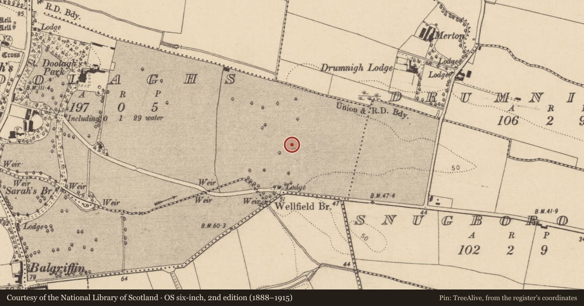 Ordnance Survey six-inch map, 2nd edition (1888–1915) covering the location of Field system, Saintdoolaghs, County Dublin, with a pin at the register's coordinates