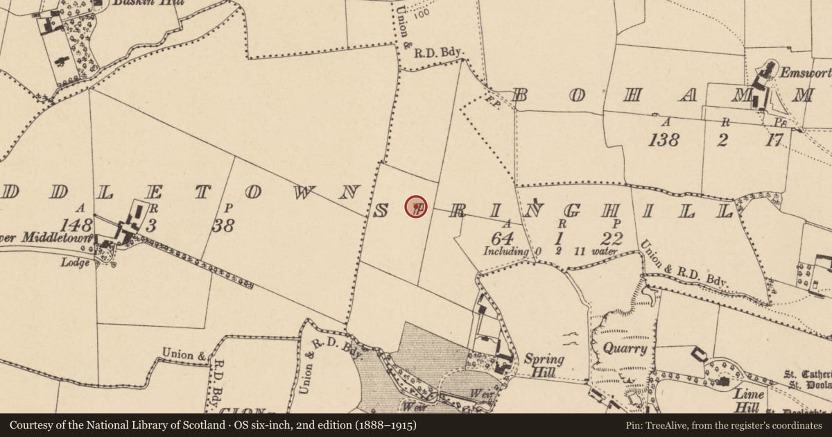 Ordnance Survey six-inch map, 2nd edition (1888–1915) covering the location of Field system, Springhill, County Dublin, with a pin at the register's coordinates