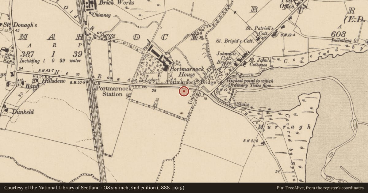 Ordnance Survey six-inch map, 2nd edition (1888–1915) covering the location of Structure, Portmarnock, County Dublin, with a pin at the register's coordinates