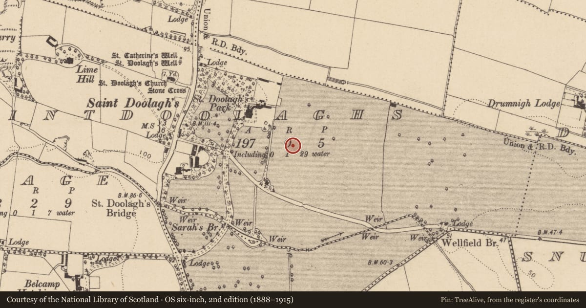 Ordnance Survey six-inch map, 2nd edition (1888–1915) covering the location of Earthwork, Saintdoolaghs, County Dublin, with a pin at the register's coordinates