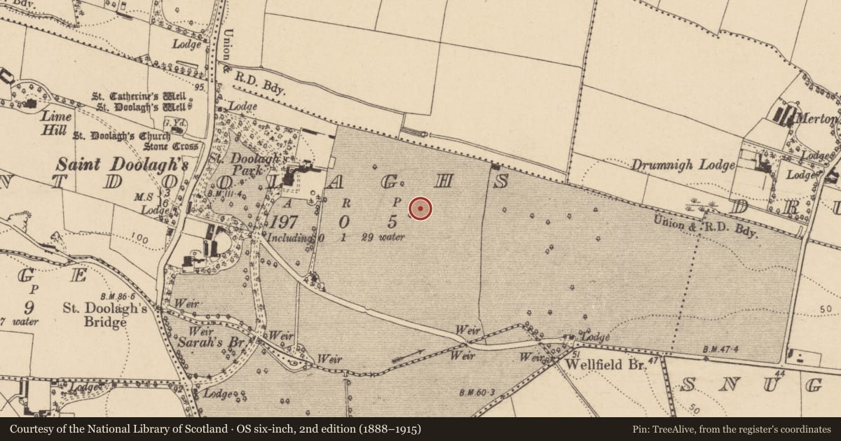 Ordnance Survey six-inch map, 2nd edition (1888–1915) covering the location of Earthwork, Saintdoolaghs, County Dublin, with a pin at the register's coordinates