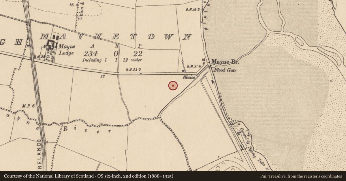 Ordnance Survey six-inch map, 2nd edition (1888–1915) covering the location of Earthwork, Maynetown, County Dublin, with a pin at the register's coordinates