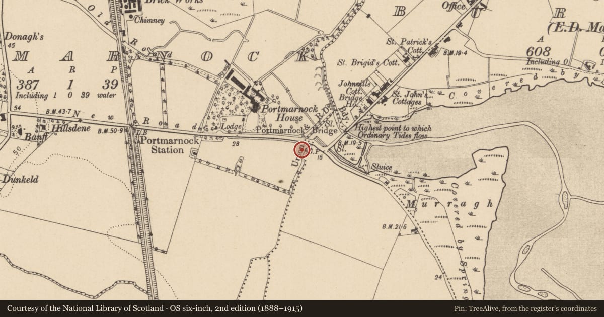 Ordnance Survey six-inch map, 2nd edition (1888–1915) covering the location of Settlement deserted - medieval, Portmarnock, County Dublin, with a pin at the register's coordinates