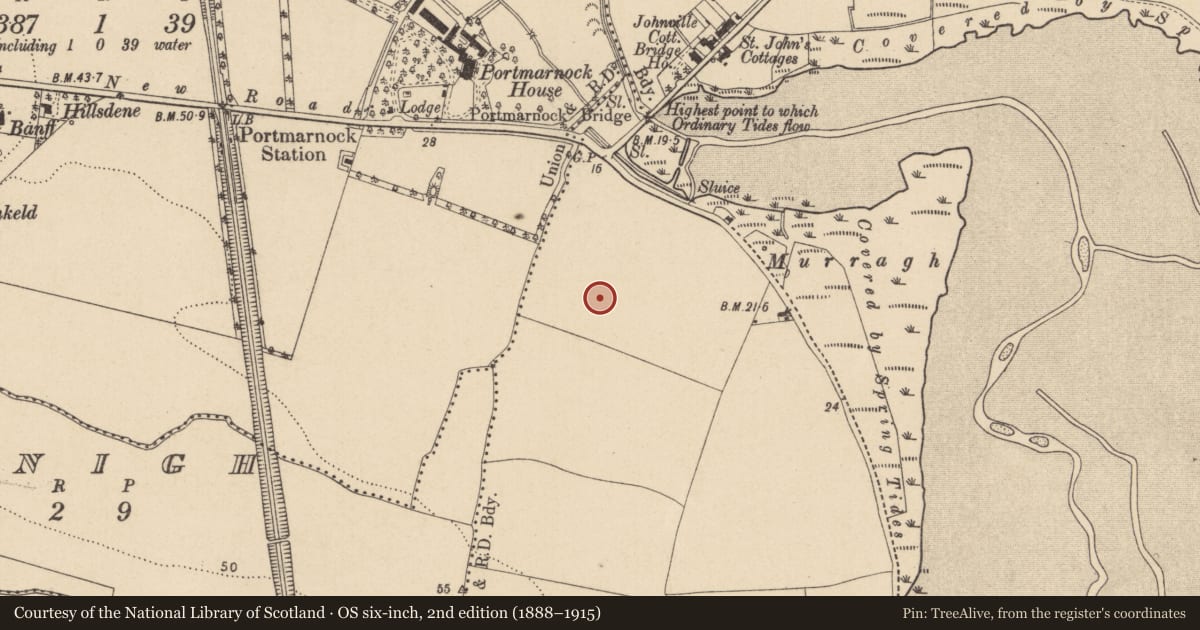 Ordnance Survey six-inch map, 2nd edition (1888–1915) covering the location of Burnt mound, Portmarnock, County Dublin, with a pin at the register's coordinates