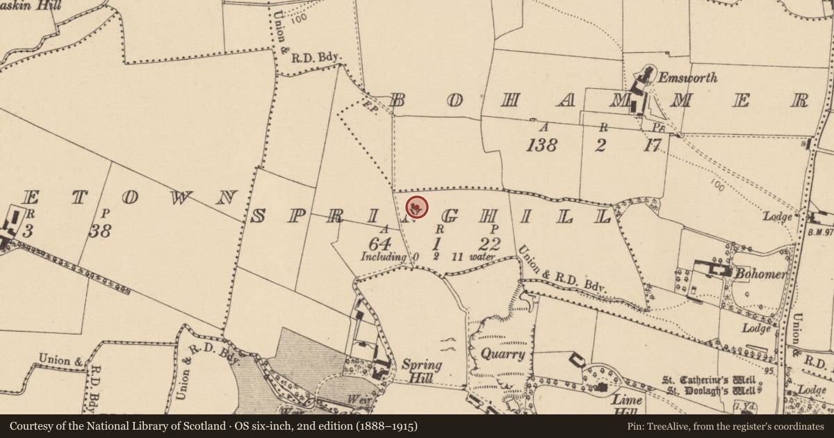Ordnance Survey six-inch map, 2nd edition (1888–1915) covering the location of Ring-ditch, Springhill, County Dublin, with a pin at the register's coordinates