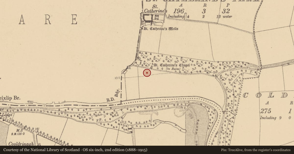 Ordnance Survey six-inch map, 2nd edition (1888–1915) covering the location of House - 16th/17th century, St. Catherine'S Park, County Dublin, with a pin at the register's coordinates