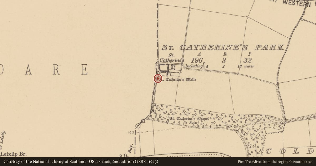 Ordnance Survey six-inch map, 2nd edition (1888–1915) covering the location of Ritual site - holy well, St. Catherine'S Park, County Dublin, with a pin at the register's coordinates
