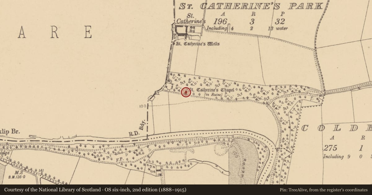 Ordnance Survey six-inch map, 2nd edition (1888–1915) covering the location of Church, St. Catherine'S Park, County Dublin, with a pin at the register's coordinates