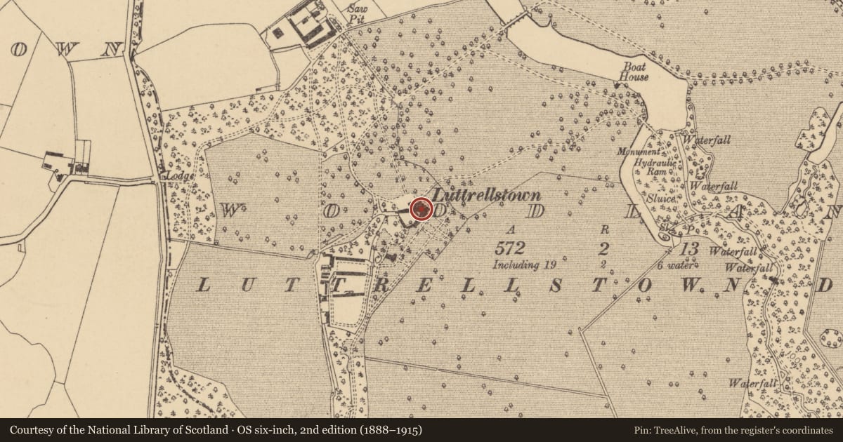 Ordnance Survey six-inch map, 2nd edition (1888–1915) covering the location of Castle - unclassified, Woodlands, County Dublin, with a pin at the register's coordinates