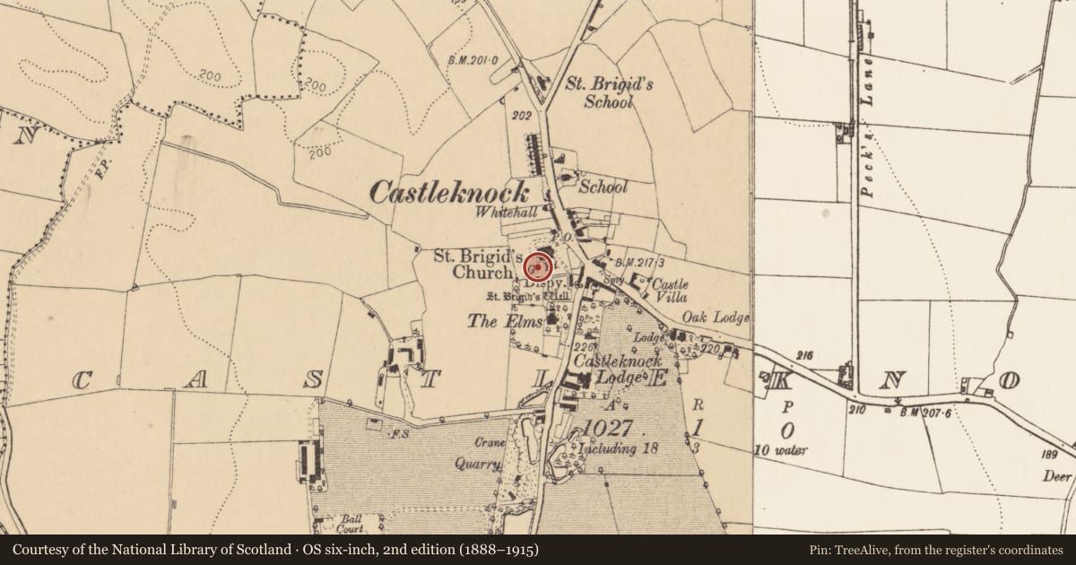 Ordnance Survey six-inch map, 2nd edition (1888–1915) covering the location of Graveyard, Castleknock (Without Phoenix Park), County Dublin, with a pin at the register's coordinates