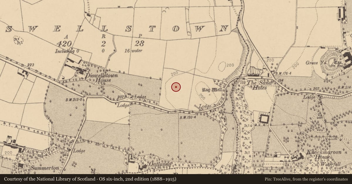 Ordnance Survey six-inch map, 2nd edition (1888–1915) covering the location of Habitation site, Diswellstown, County Dublin, with a pin at the register's coordinates