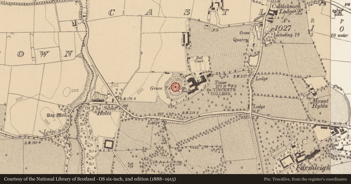 Ordnance Survey six-inch map, 2nd edition (1888–1915) covering the location of Castle - motte and bailey, Castleknock (Without Phoenix Park), County Dublin, with a pin at the register's coordinates