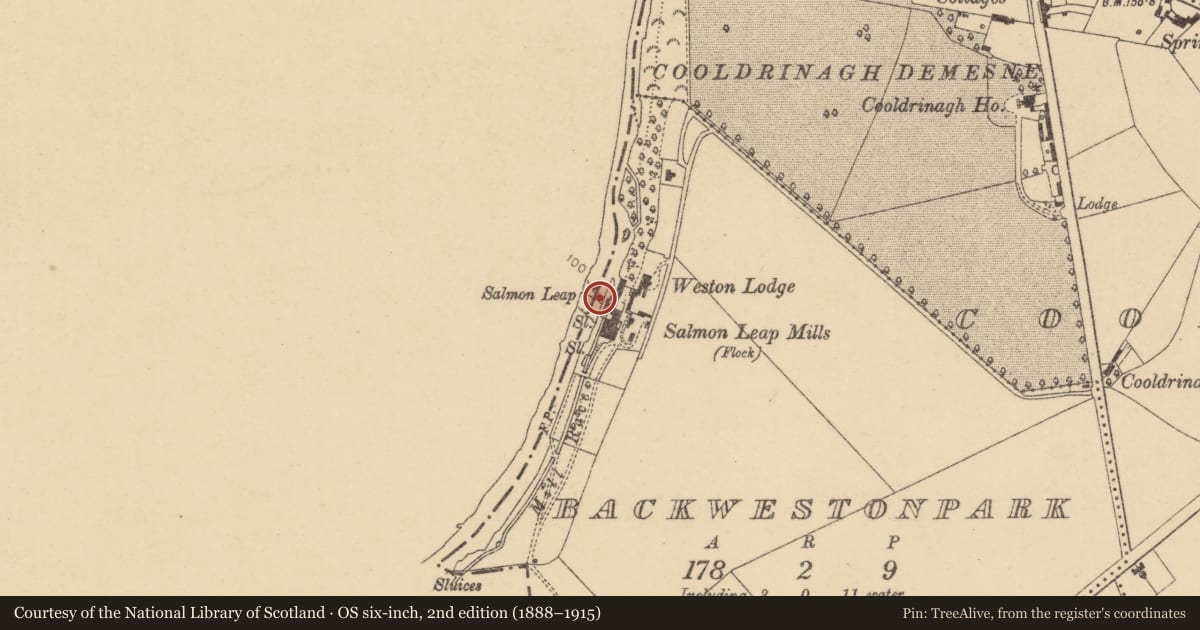 Ordnance Survey six-inch map, 2nd edition (1888–1915) covering the location of Weir - fish, Backwestonpark, County Dublin, with a pin at the register's coordinates