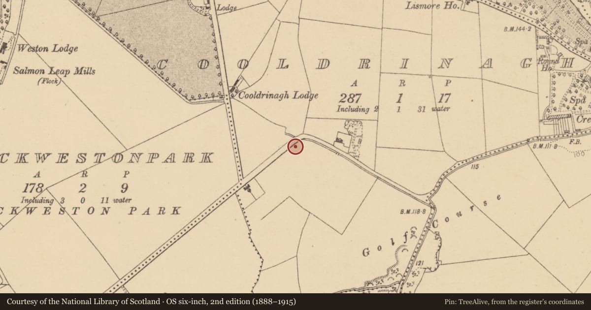 Ordnance Survey six-inch map, 2nd edition (1888–1915) covering the location of Enclosure, Cooldrinagh, County Dublin, with a pin at the register's coordinates