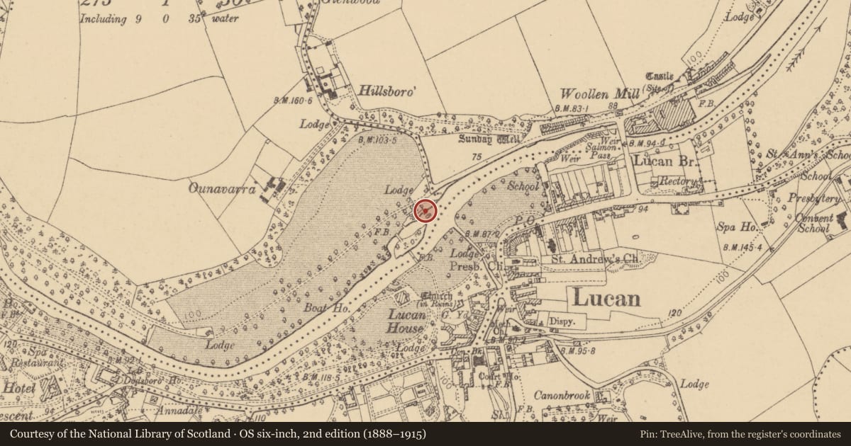Ordnance Survey six-inch map, 2nd edition (1888–1915) covering the location of Bridge, Coldblow, Lucan Demesne, County Dublin, with a pin at the register's coordinates