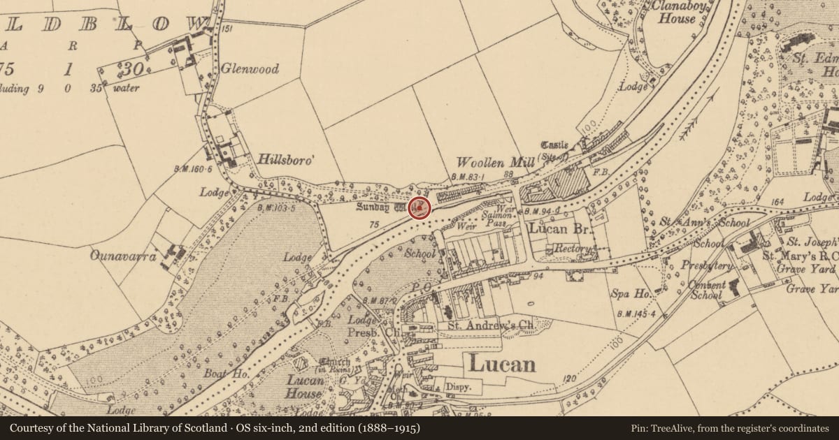 Ordnance Survey six-inch map, 2nd edition (1888–1915) covering the location of Ritual site - holy well, Laraghcon, County Dublin, with a pin at the register's coordinates