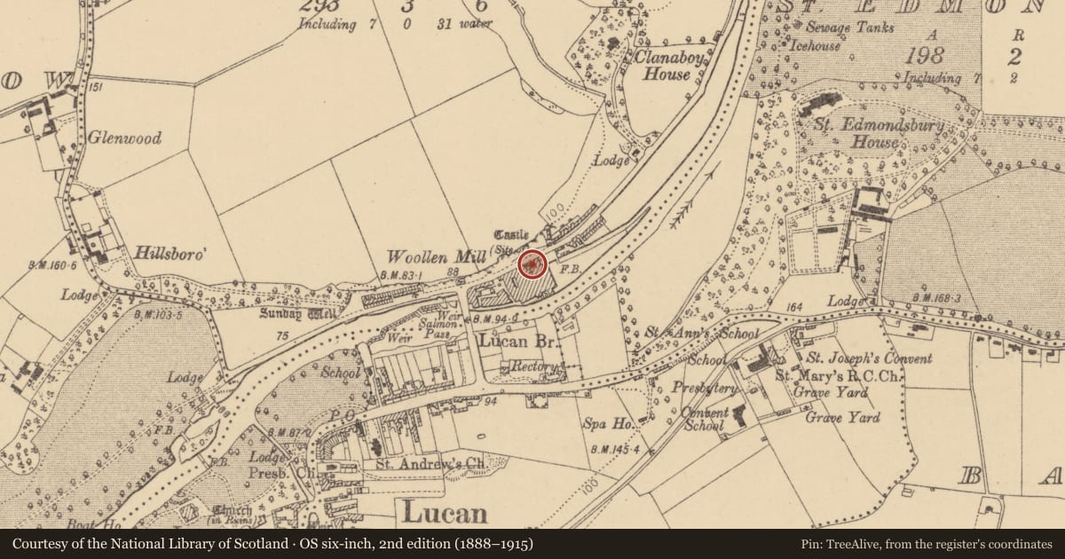 Ordnance Survey six-inch map, 2nd edition (1888–1915) covering the location of Castle - unclassified, Laraghcon, County Dublin, with a pin at the register's coordinates
