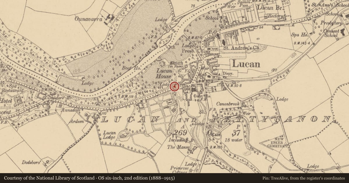 Ordnance Survey six-inch map, 2nd edition (1888–1915) covering the location of Cross, Lucan And Pettycanon, Lucan Demesne, County Dublin, with a pin at the register's coordinates