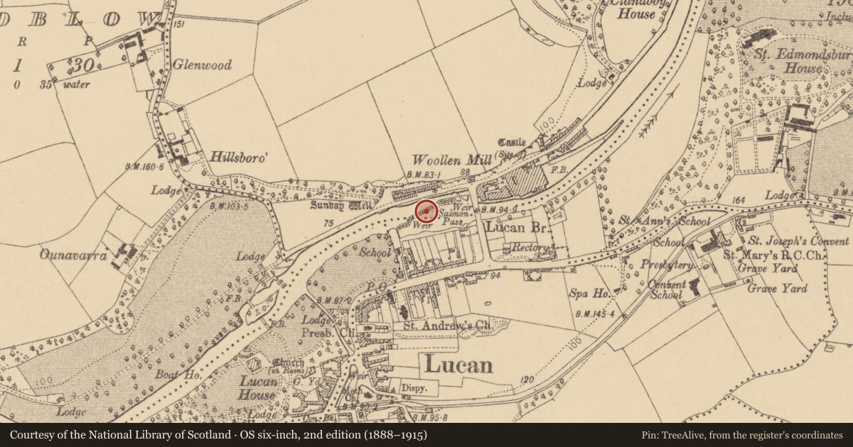 Ordnance Survey six-inch map, 2nd edition (1888–1915) covering the location of Weir - fish, Lucan And Pettycanon, County Dublin, with a pin at the register's coordinates