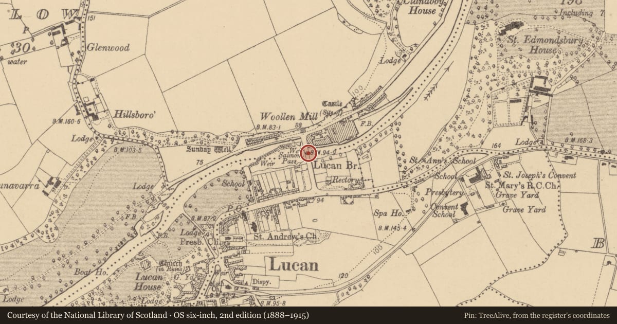 Ordnance Survey six-inch map, 2nd edition (1888–1915) covering the location of Bridge, Lucan And Pettycanon, Laraghcon, County Dublin, with a pin at the register's coordinates