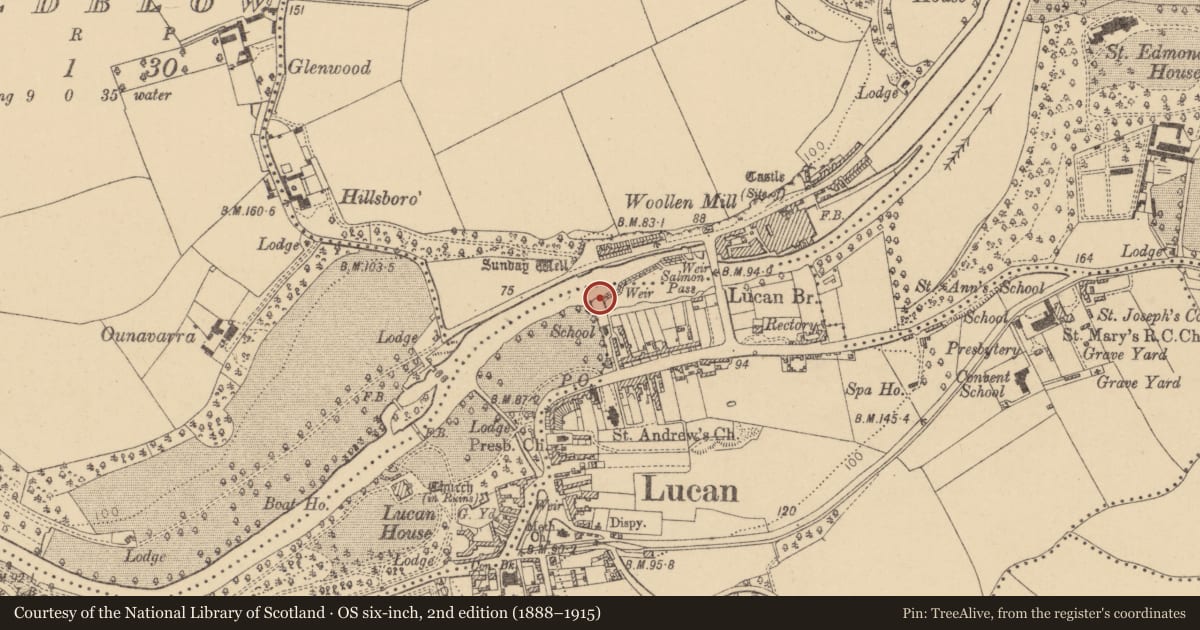 Ordnance Survey six-inch map, 2nd edition (1888–1915) covering the location of Bridge, Lucan And Pettycanon, Laraghcon, County Dublin, with a pin at the register's coordinates
