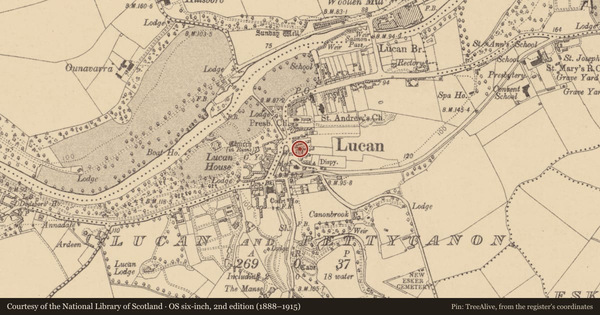 Ordnance Survey six-inch map, 2nd edition (1888–1915) covering the location of Castle - unclassified, Lucan And Pettycanon, County Dublin, with a pin at the register's coordinates