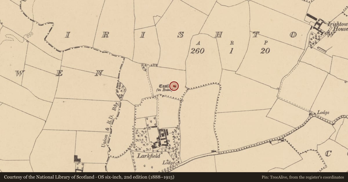 Ordnance Survey six-inch map, 2nd edition (1888–1915) covering the location of Castle - tower house, Irishtown, County Dublin, with a pin at the register's coordinates