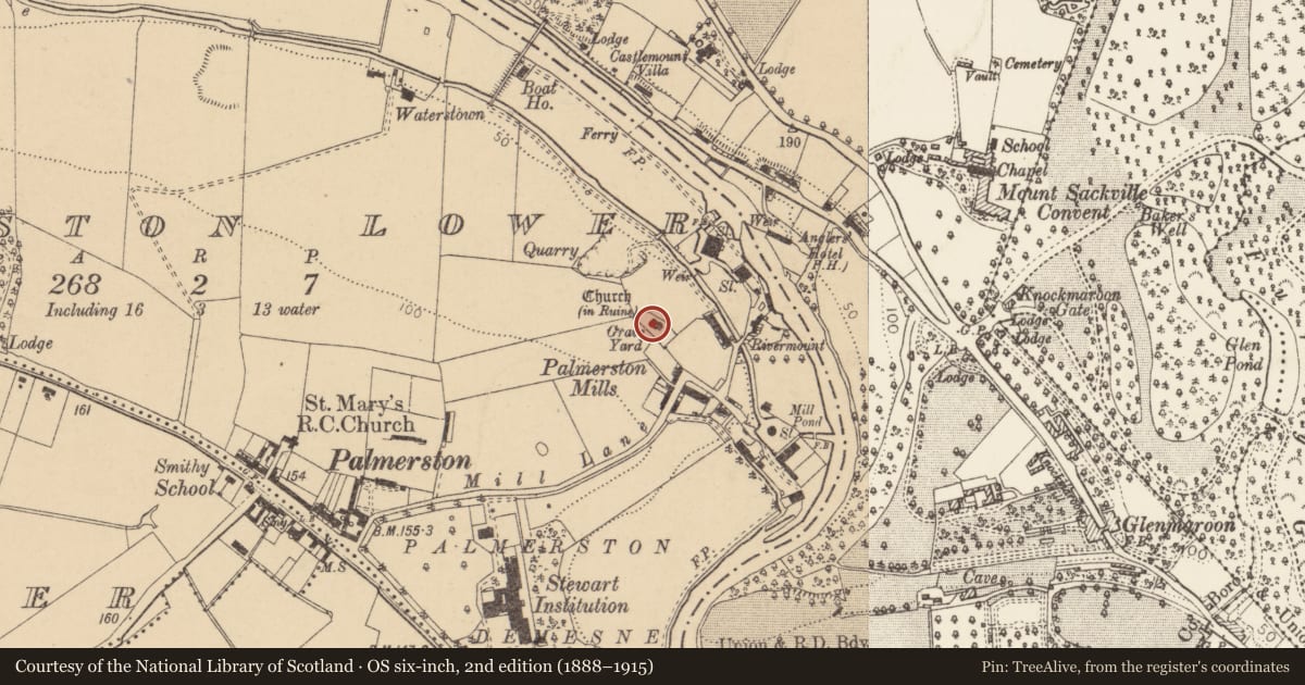 Ordnance Survey six-inch map, 2nd edition (1888–1915) covering the location of Church, Palmerstown Lower, County Dublin, with a pin at the register's coordinates
