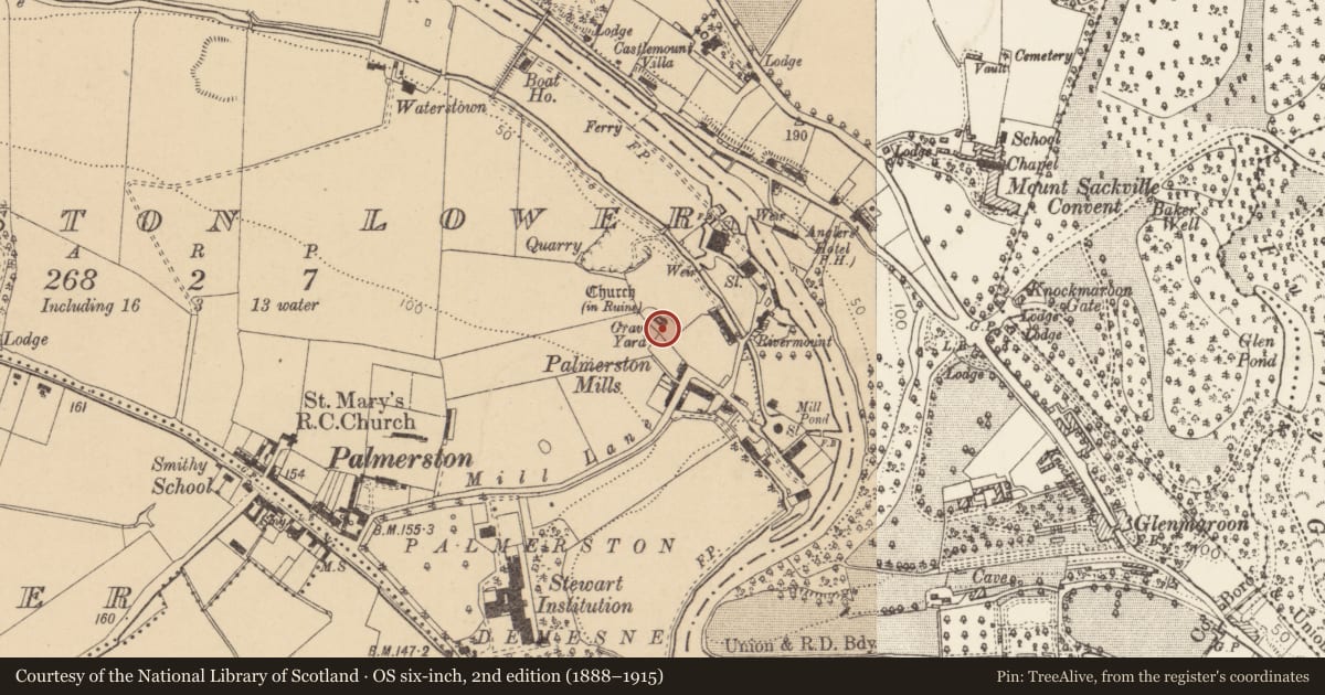 Ordnance Survey six-inch map, 2nd edition (1888–1915) covering the location of Graveyard, Palmerstown Lower, County Dublin, with a pin at the register's coordinates