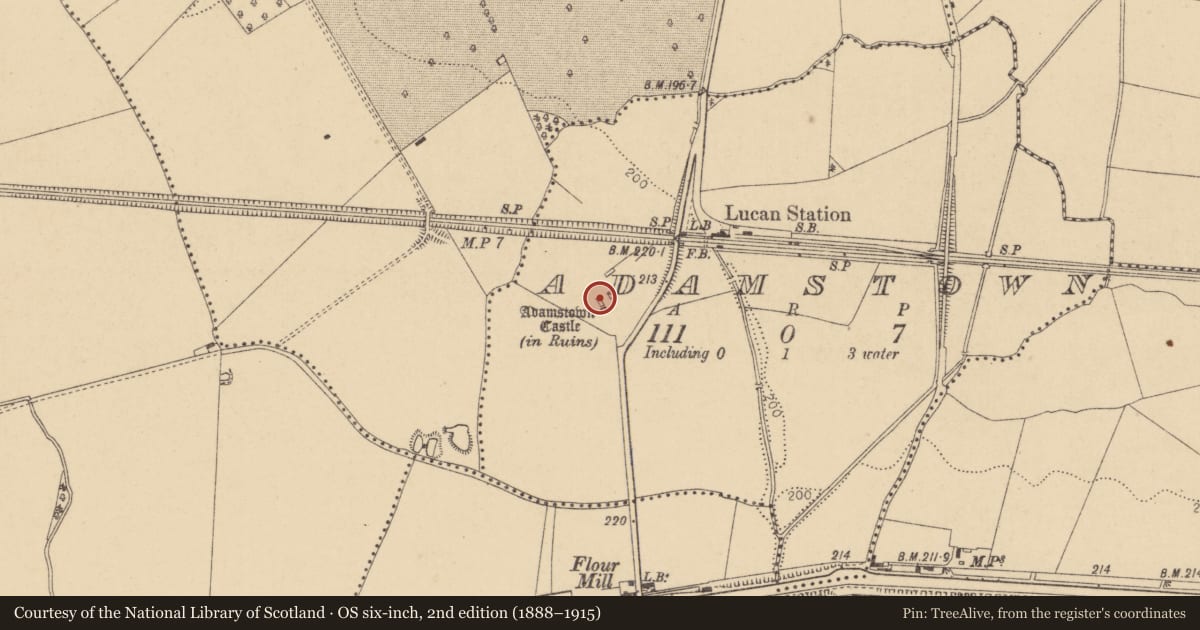 Ordnance Survey six-inch map, 2nd edition (1888–1915) covering the location of Castle - tower house, Adamstown, County Dublin, with a pin at the register's coordinates