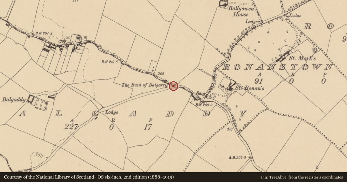 Ordnance Survey six-inch map, 2nd edition (1888–1915) covering the location of Ritual site - holy tree/bush, Balgaddy, County Dublin, with a pin at the register's coordinates