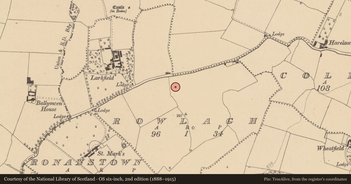 Ordnance Survey six-inch map, 2nd edition (1888–1915) covering the location of Castle - unclassified, Rowlagh, County Dublin, with a pin at the register's coordinates