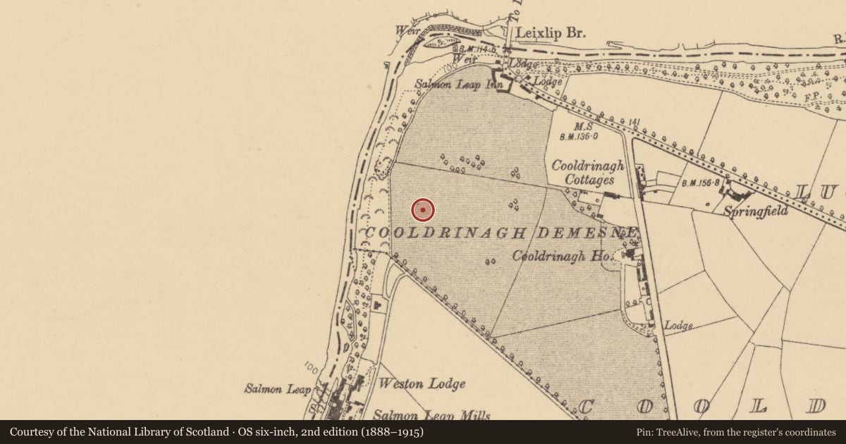 Ordnance Survey six-inch map, 2nd edition (1888–1915) covering the location of Barrow - ring-barrow, Cooldrinagh, County Dublin, with a pin at the register's coordinates