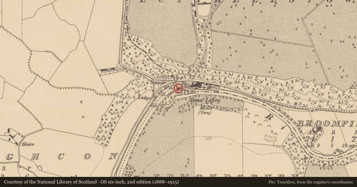 Ordnance Survey six-inch map, 2nd edition (1888–1915) covering the location of Weir - fish, Yellow Walls, County Dublin, with a pin at the register's coordinates